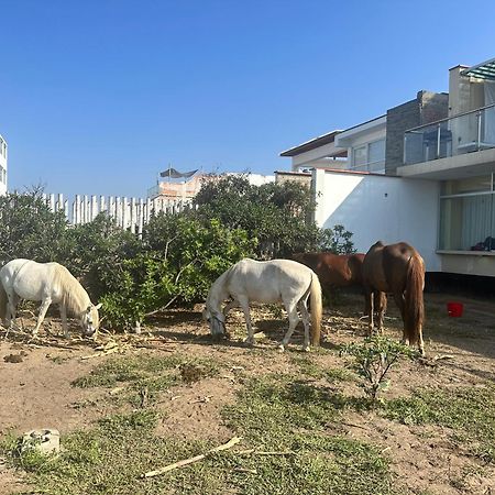 阿夏Yolo House Peru住宿加早餐旅馆 外观 照片