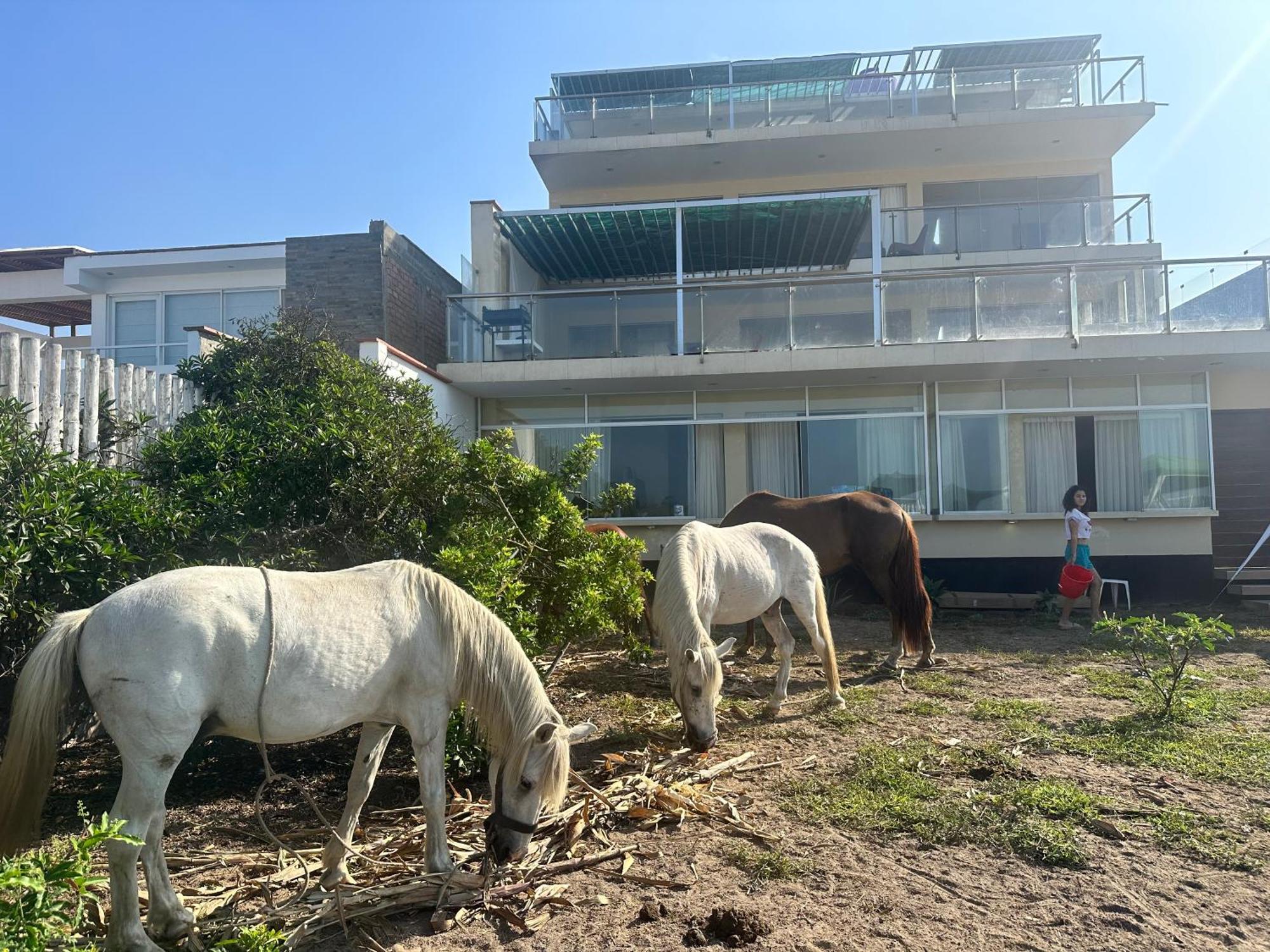 阿夏Yolo House Peru住宿加早餐旅馆 外观 照片