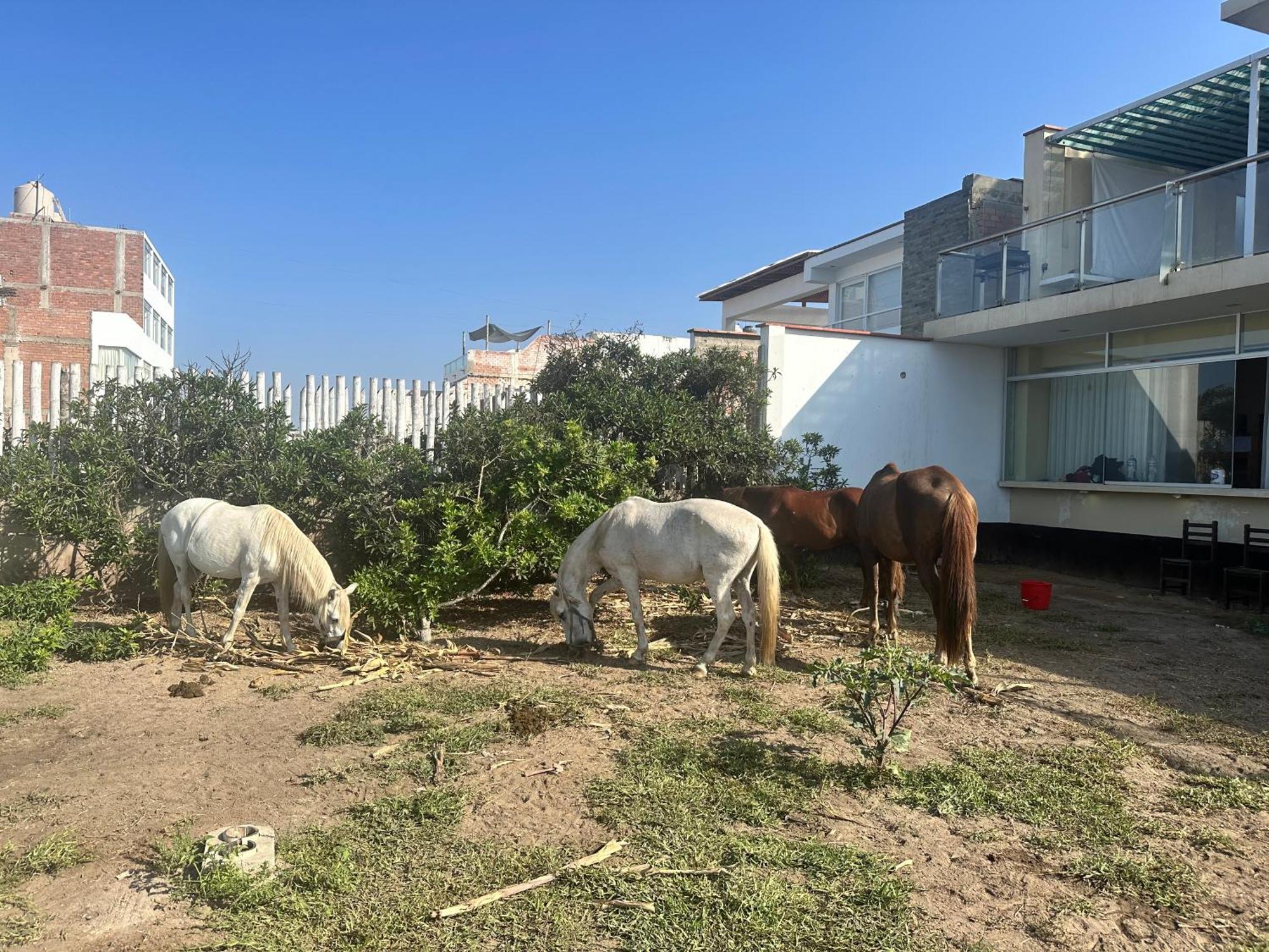 阿夏Yolo House Peru住宿加早餐旅馆 外观 照片