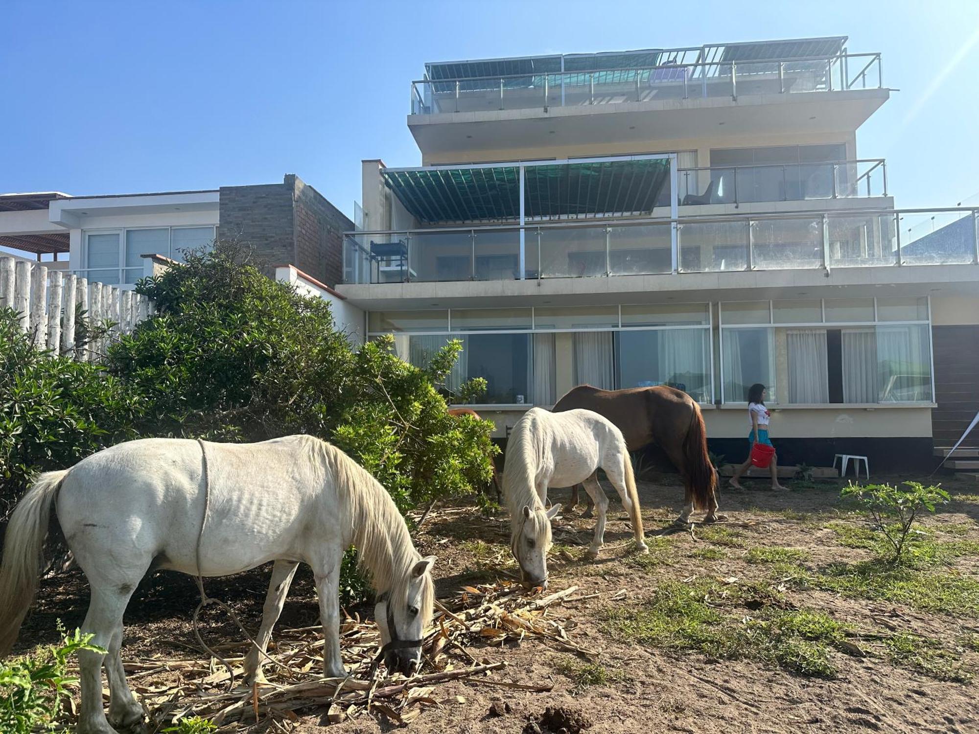 阿夏Yolo House Peru住宿加早餐旅馆 外观 照片